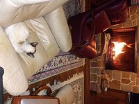 20181110_200348.jpg