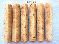 LOT  #  9.jpg