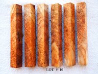 LOT  #  10.jpg