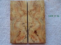 LOT  # 16.jpg