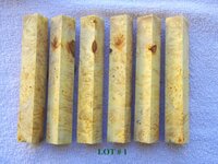 LOT  #  1.jpg