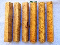 LOT  #  8.jpg