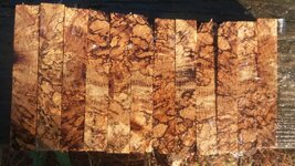 20181206_090317.jpg
