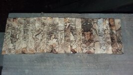 20181208_065436.jpg