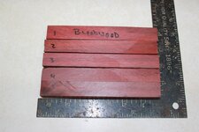 IMG_1192.jpg