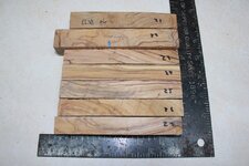 IMG_1198.jpg