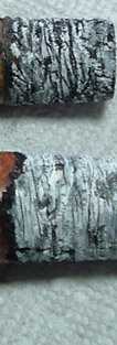ashes18.jpg
