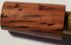 Hairy Oak sm.jpg