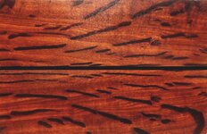 Hairy-Oak.jpg