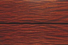 Lace She-Oak.jpg
