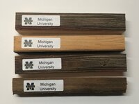 Michigan University.jpg
