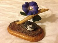 Bird.jpg