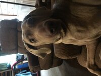 IMG_0175.jpg