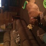 IMG_0366.jpg