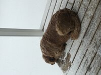 IMG_1110.jpg
