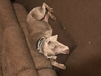 IMG_1111.jpg