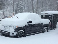 IMG_0603.jpg