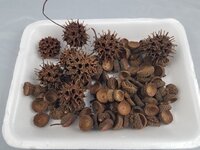 20190115_100653.jpg