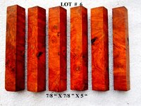 LOT  #  6.jpg