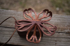 DFE_2012-1.jpg