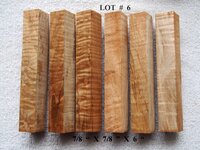 LOT  #  6.jpg