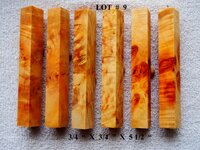 LOT  #  9.jpg
