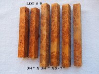 LOT  #  9.jpg