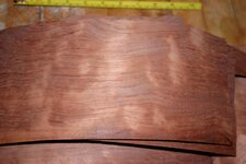 veneer 001.jpg
