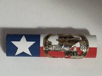 Texas State quarter.jpg