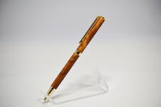 pen 8.jpg