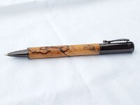P31L.jpg
