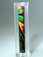 Feathers_2201.jpg