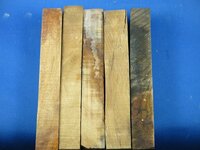 Ancien Kauri.jpg