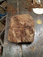 burl 3.jpg