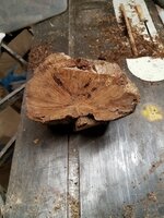 burl 2.jpg