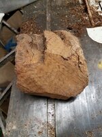 burl 1.jpg