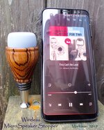 WirelessMicroSpeakerStopper,markison,2019,1000px.jpg