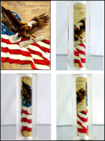 We The People Collage-Small.png