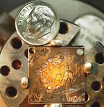 Turtle,HandMicroEngraving,2019.jpg