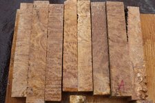 brown mallee b.jpg
