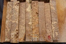 brown mallee b2.jpg