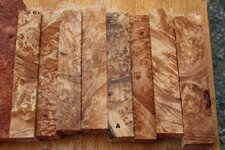 maple group a.jpg