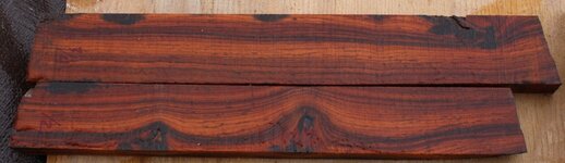 cocobolo.jpg
