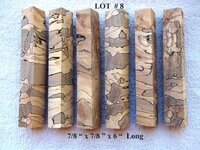 LOT # 8.jpg