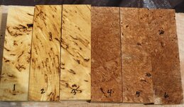 a ycb and maple.jpg