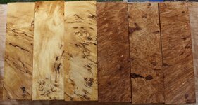 a ycb and maple 4.jpg