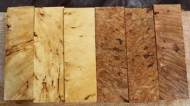 a ycb and maple 2.jpg