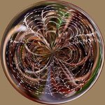 Web4.jpg