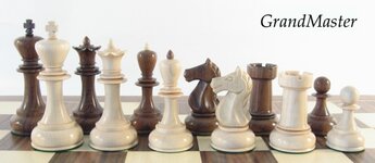 GM Pavasovic.jpg