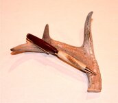 Pen 1 - Antler and Bloodwood.jpg